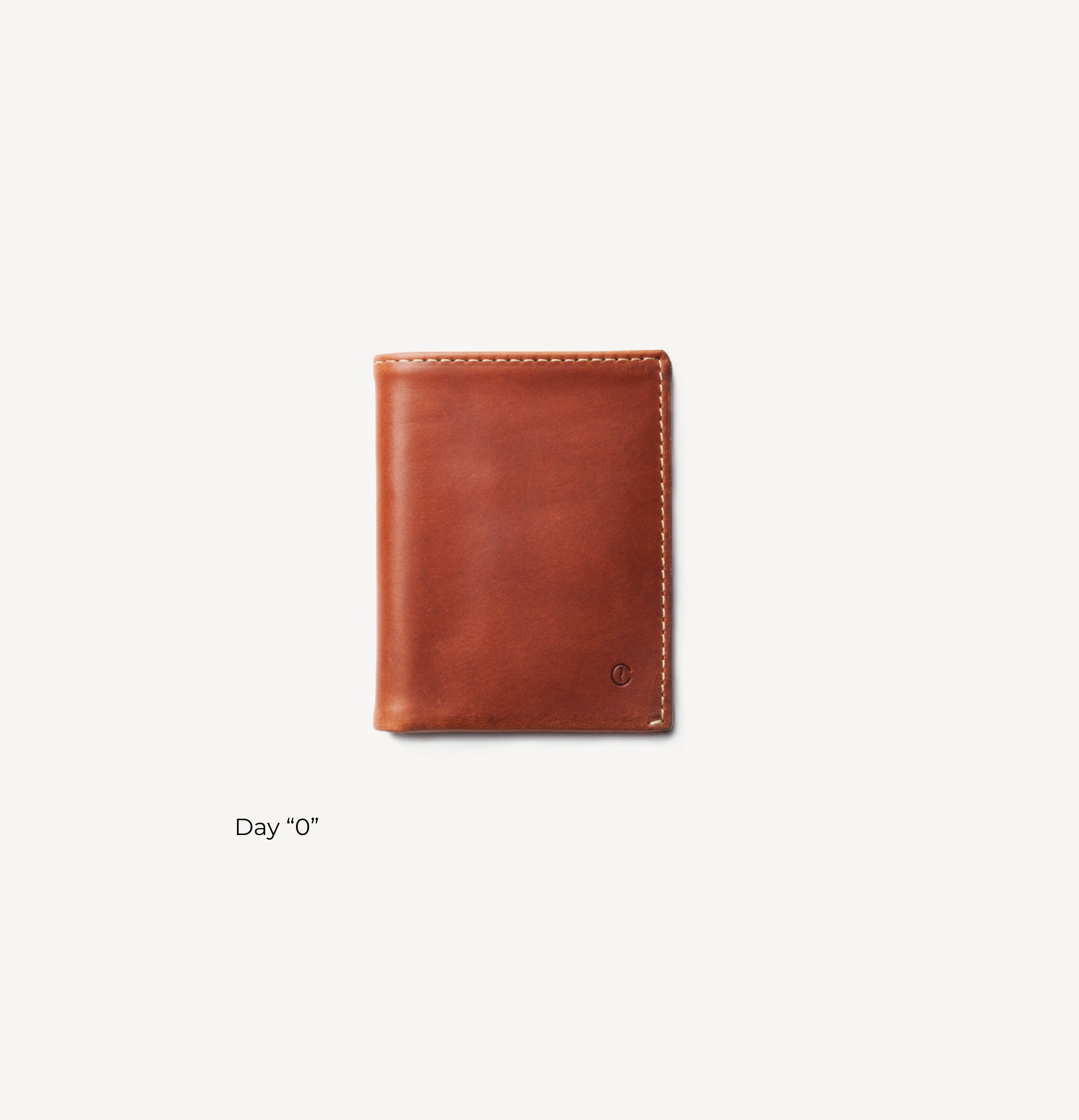 day 0 wallet