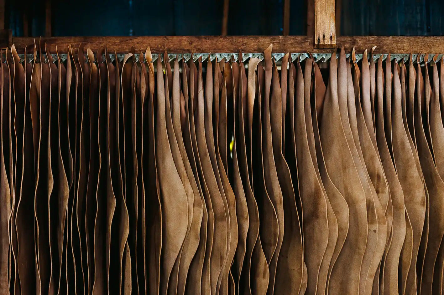 Cordovan Drying