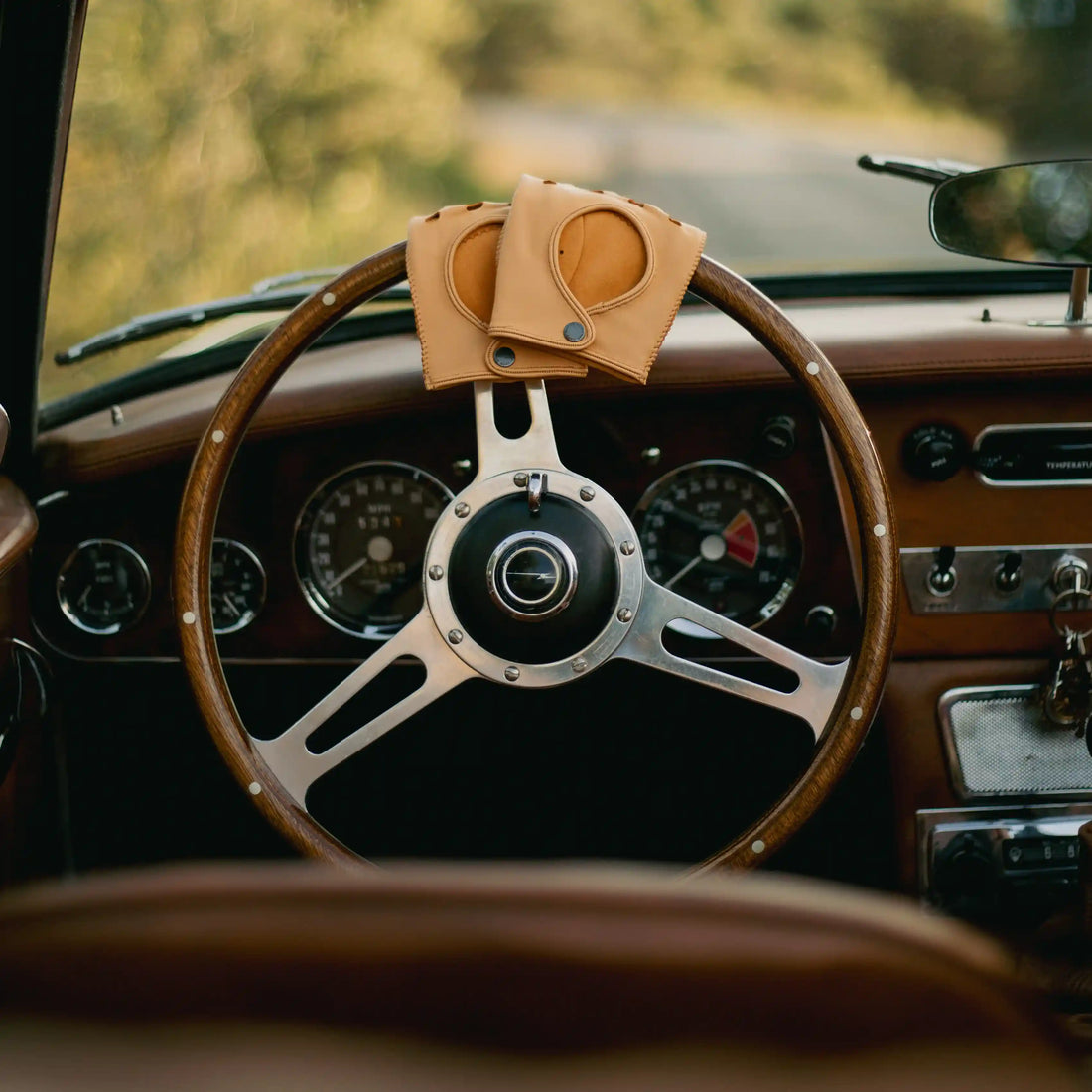 targa driving gloves