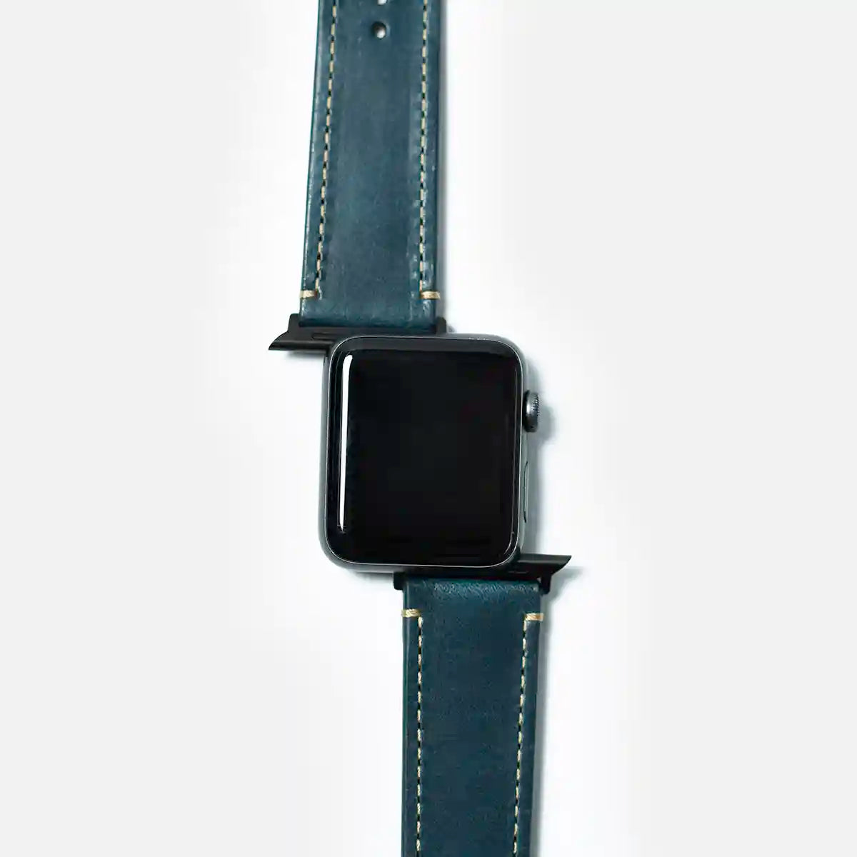 leather iwatch strap in ocean