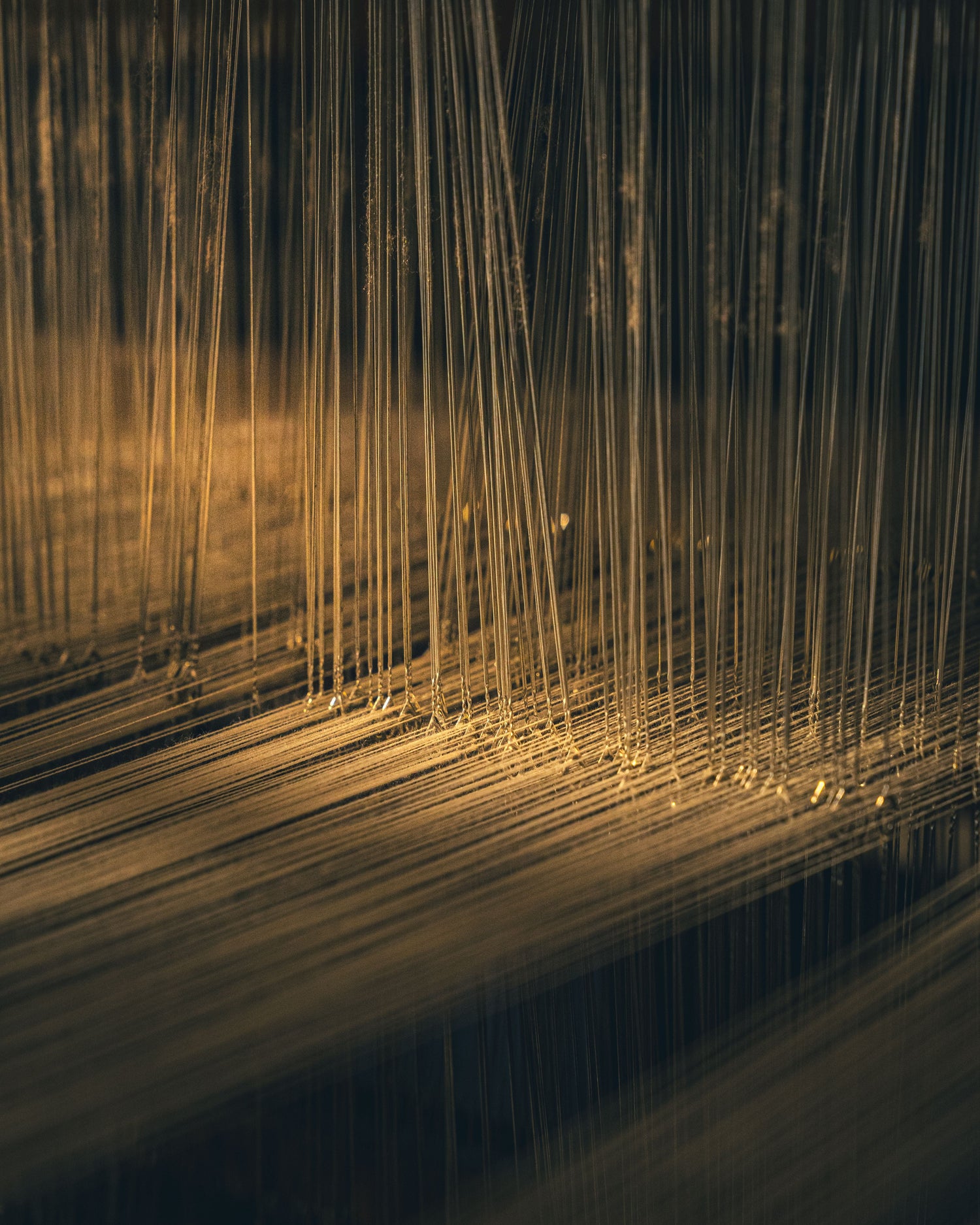 Kevlar: when protection becomes a form of art