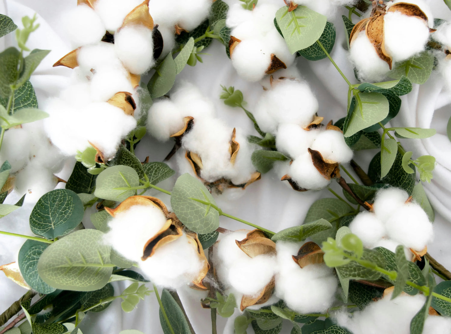 The Definitive Guide to Organic Cotton: Luxury with a Conscience