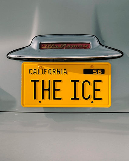 Plate The ICE