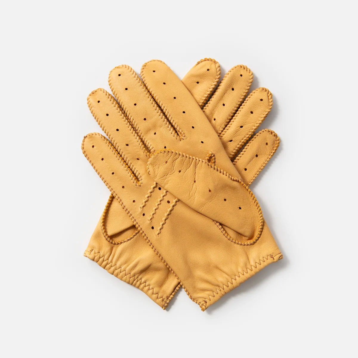 The Targa Driving Gloves in Cream