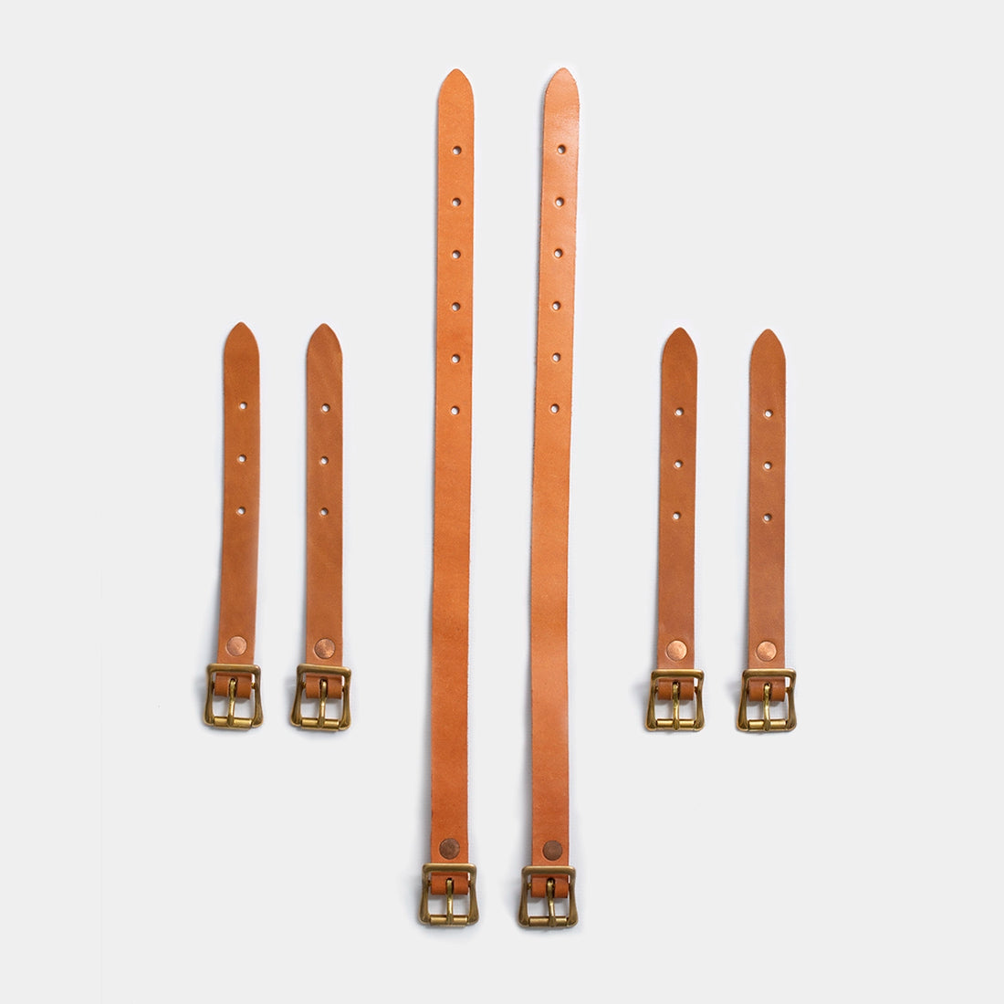 Extra Backpack Straps