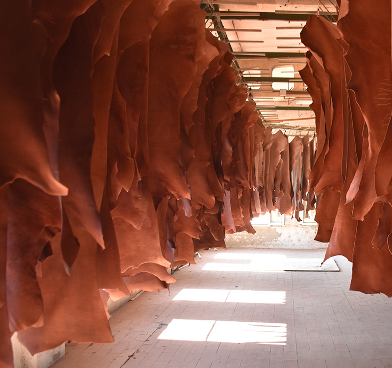 drying leather